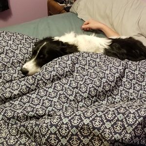 Meet your Posher, Arinna